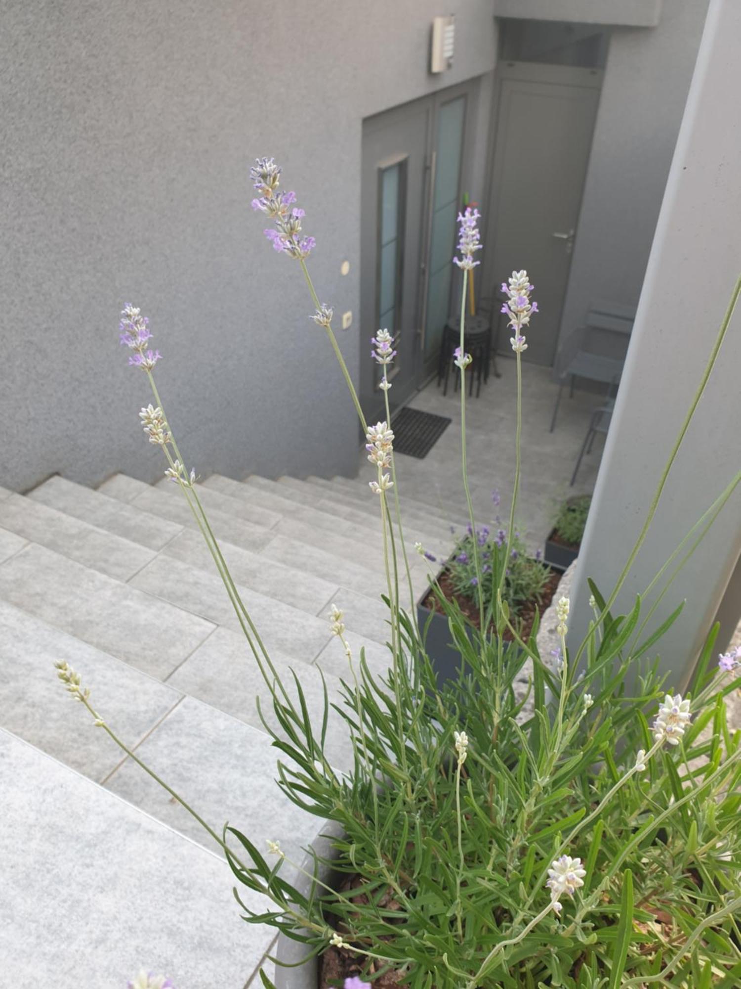 Apartment EMMA Ljubljana - FREE parking, AC, Wifi Ruang foto
